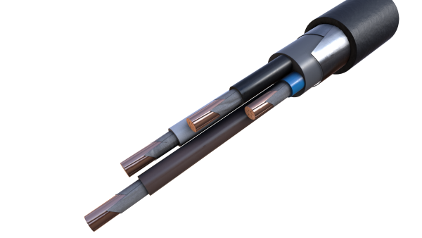 Кабель ВВГЭнг(A)-FRLSLTx 2х50 - 1кВ